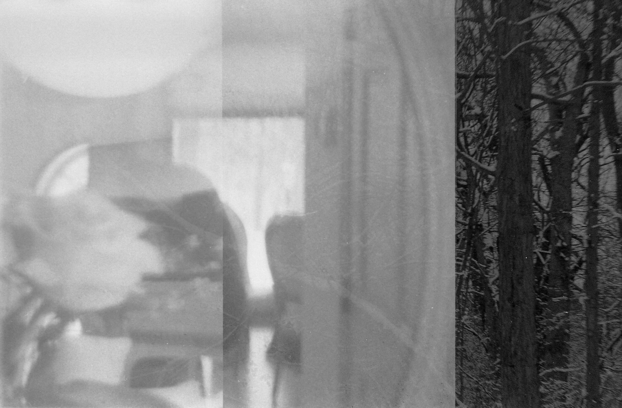 Bilora Bella 44 — Aperture Preview